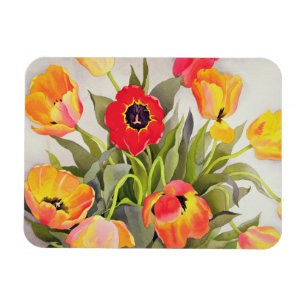 Íman Tulipas alaranjadas e vermelhas