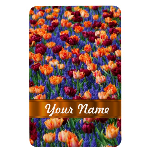 Íman Tulipas coloridas (Vertical)