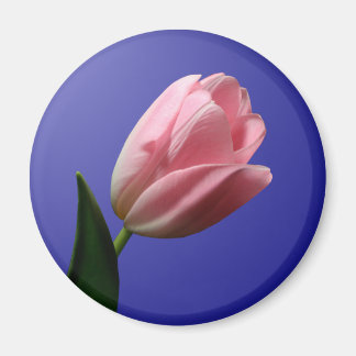 Íman Tulipas de Casamento da primavera