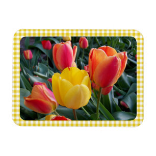 Íman Tulipas de Ginga Amarela Xadrez Jardim Foto