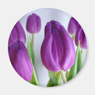 Íman Tulipas de lavanda