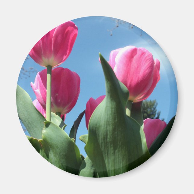 Íman Tulipas de torre (Frente)