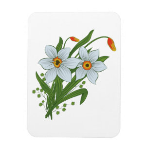 Íman Tulipas e Flores de Narcisos