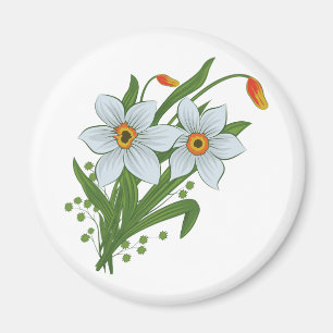 Íman Tulipas e Flores de Narcisos