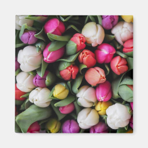 Íman Tulipas Flores Coloridas Páscoa