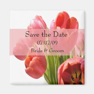 Íman Tulipas - Imã salve a data