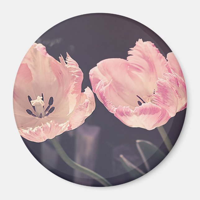Íman Tulipas Lindas em Flor - Personalizado (Frente)