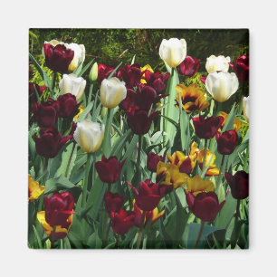 Íman Tulipas Marrons e Amarelas Floral Colorido