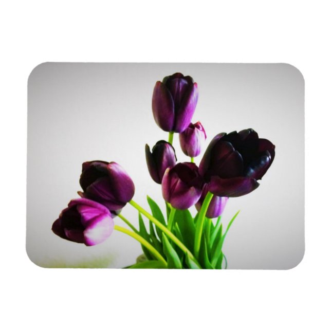 Íman Tulipas Roxas Escuras (Horizontal)