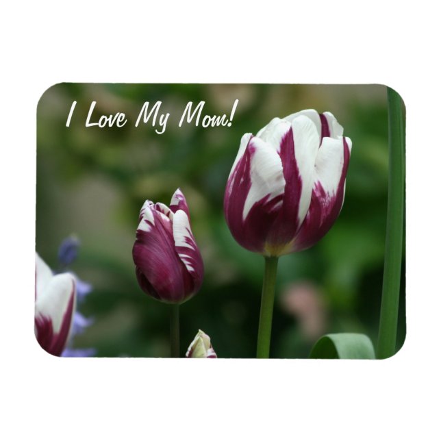 Íman Tulipas Roxas Mãe (Horizontal)