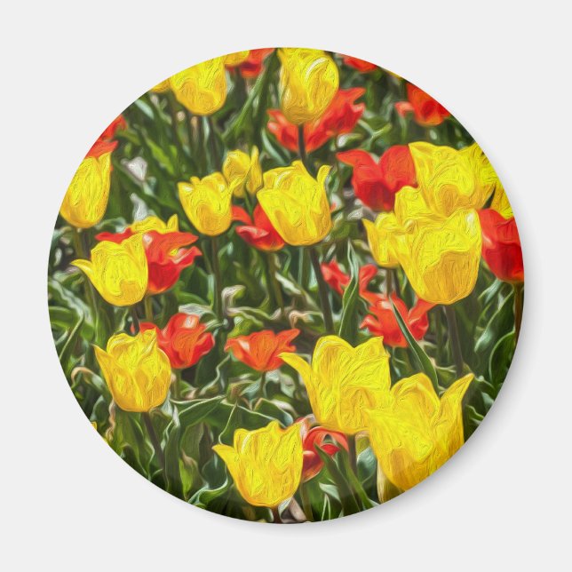 Íman Tulipas Vermelhas e Amarelas (Frente)
