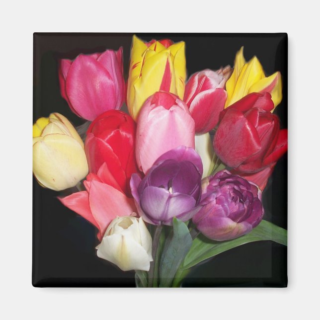 Íman Tulips diz tudo (Frente)