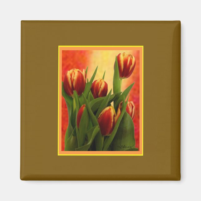 Íman Tulips jGibney The MUSEUM Zazzle Gifts (Frente)