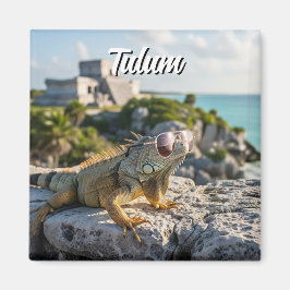 Íman Tulum Mexico Viagem Iguana