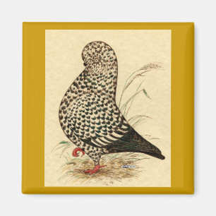 Íman Tumbler: LFCL Splash