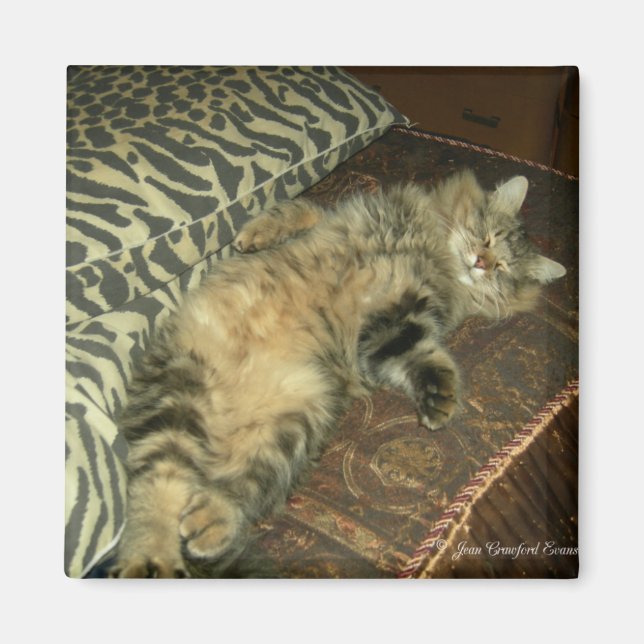 Íman Tumor (Frente)