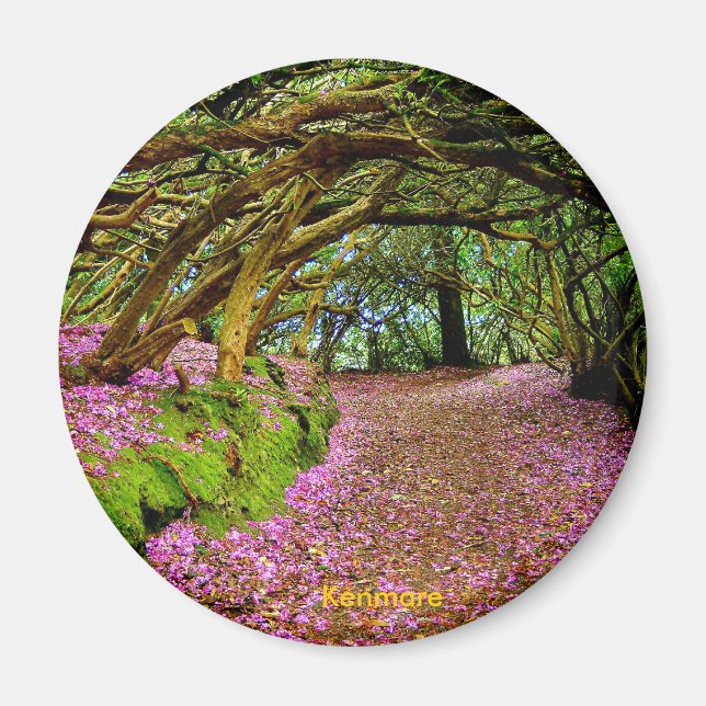 Íman Túnel de fada, Kenmare (Frente)