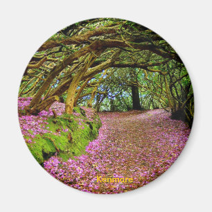 Íman Túnel feericamente, Kenmare