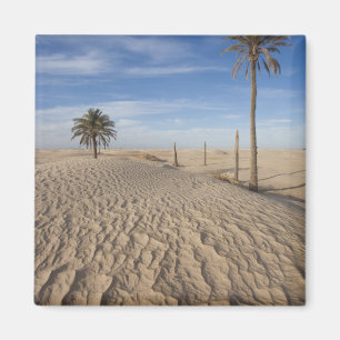 Íman Tunísia, Deserto do Saara, Douz, Grande Duna, aman