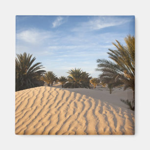 Íman Tunísia, Deserto do Saara, Douz, Grande Duna, palm