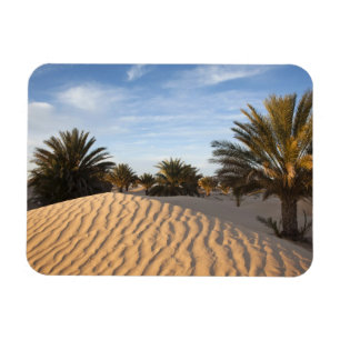 Íman Tunísia, Deserto do Saara, Douz, Grande Duna, palm