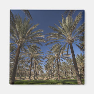 Íman Tunísia, Deserto do Saara, Douz, Zone Touristique