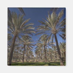 Íman Tunísia, Deserto do Sara, Douz, Zone Touristique,