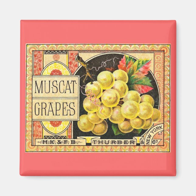 Íman Turber Muscat Graphics - Rótulo de Taxa de Vintage (Frente)