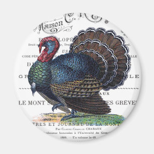 Íman Turca vintage moderna