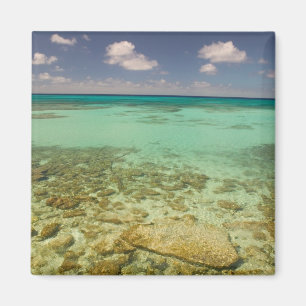 Íman Turcas e Caicos, Ilha Grand Turk, Cockburn 2