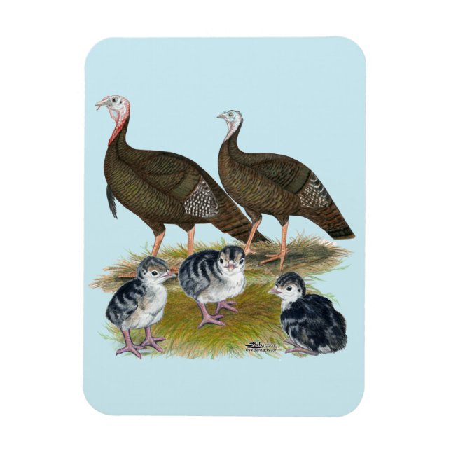 Íman Turkeys East Wild Family (Vertical)