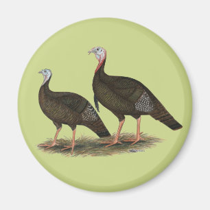 Íman Turkeys East Wild Pair