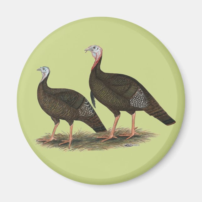 Íman Turkeys East Wild Pair (Frente)