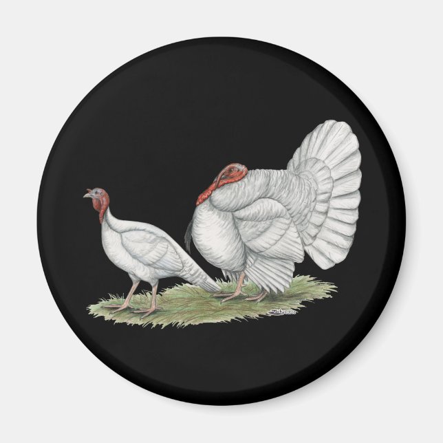 Íman Turkeys White Hollands (Frente)