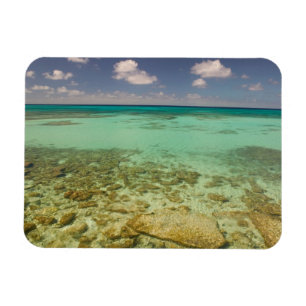 Íman Turks e Caicos, Ilha Grand Turk, Cockburn 2