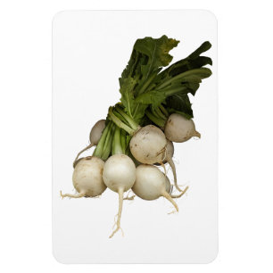 Íman Turnips Photo Magnet