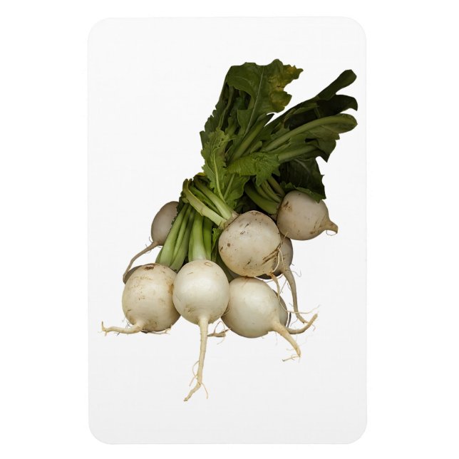Íman Turnips Photo Magnet (Vertical)