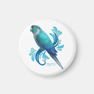 Íman Turquoise Conure
