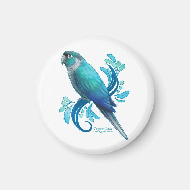 Íman Turquoise Conure (Frente)