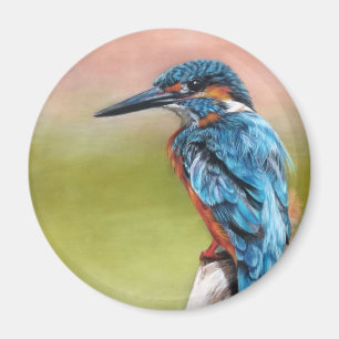 Íman Turquoise Morning Kingfisher Bird