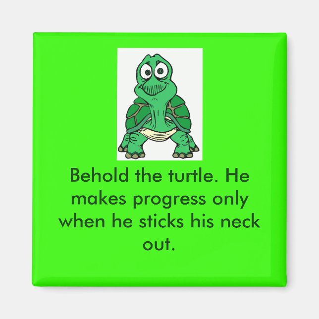 Íman Turtle Truth (Frente)