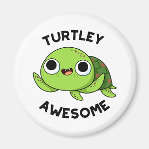 Íman Turtley Incrível Tartaruga