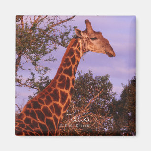 Íman Tutwa, girafa na língua de Tetswana, ímã