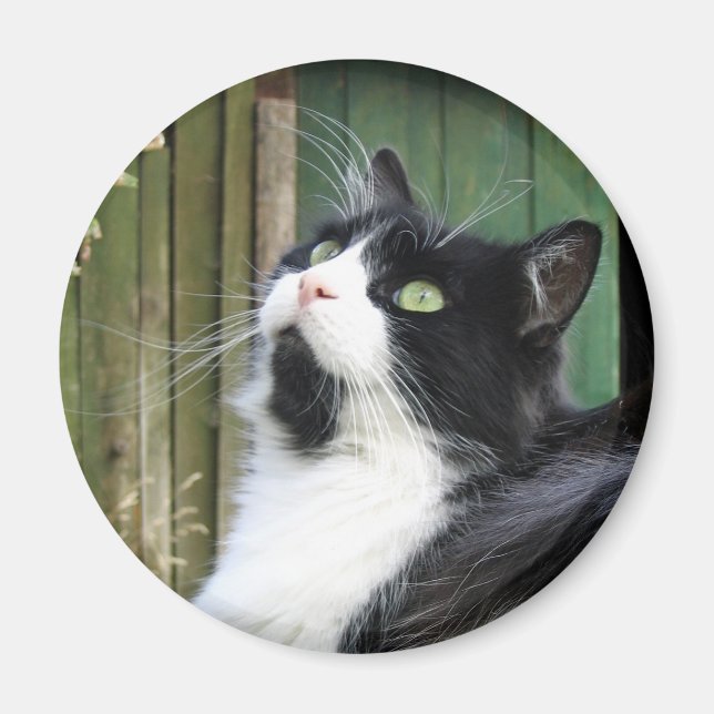 Íman Tux - Magneta redonda de 2¼ polegadas (Frente)