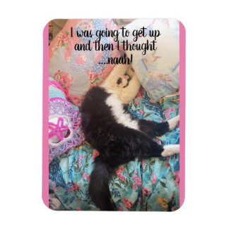 Íman Tuxedo Cat Dormindo Engraçados Dizendo Gatos