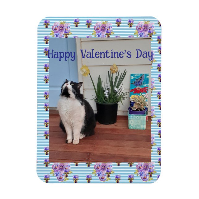 Íman Tuxedo Cat Funny Cute Cats Valentines Day Blue (Vertical)