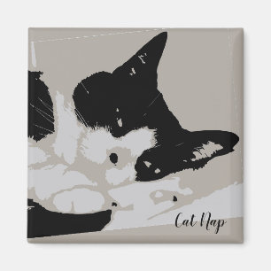 Íman Tuxedo Cat Nap