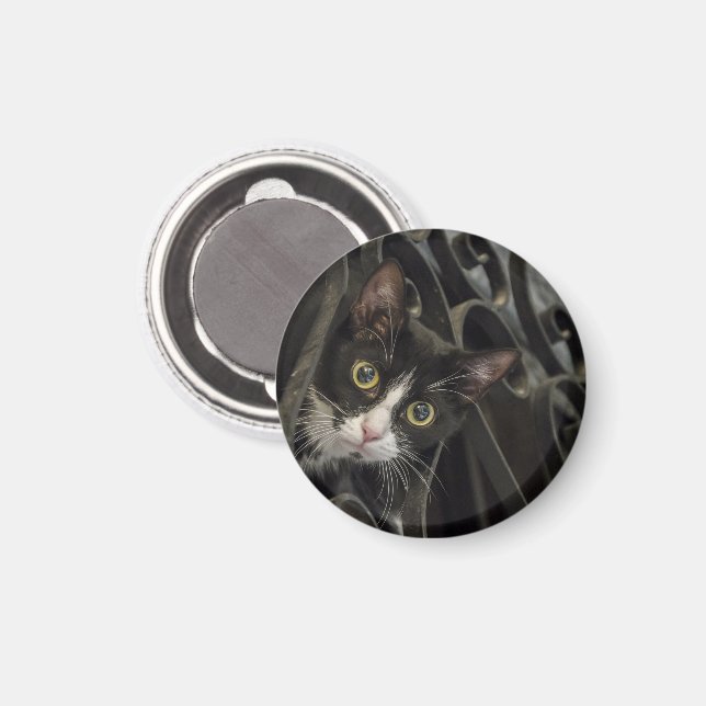 Íman Tuxedo Cat Pico através da cerca de ferro em forma (Front/Back)
