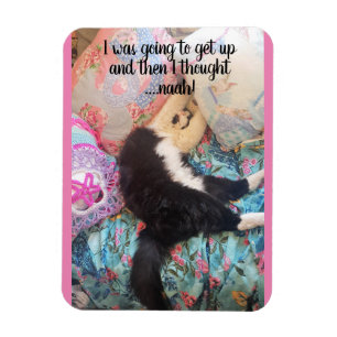 Íman Tuxedo Gato Dormindo Engraçado Dizendo Magnet