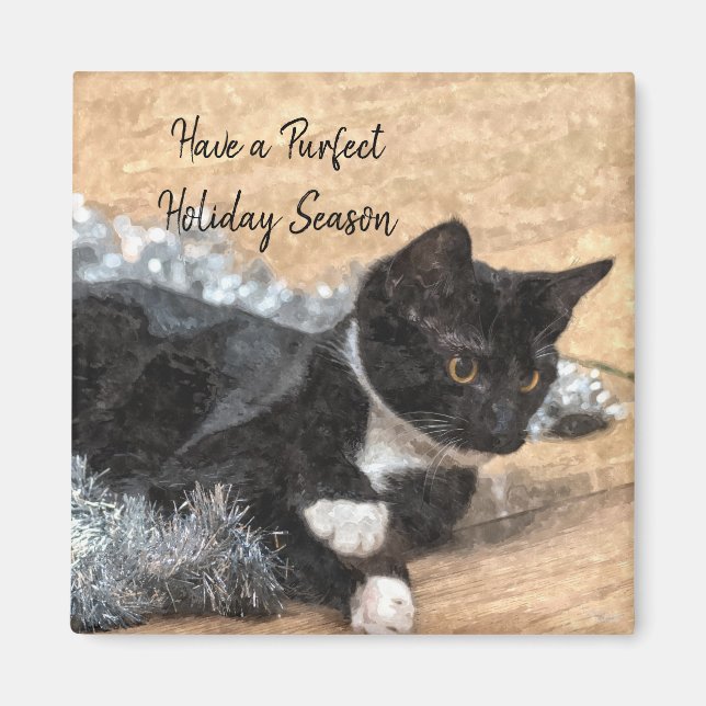Íman Tuxedo Kitten Tinsel e Lights Magnet (Frente)